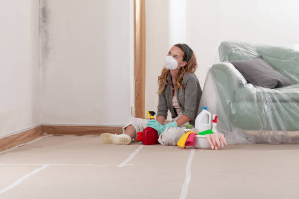 Reliable Mold Remediation contractor in Columbia, KY by Mold Remediation HQ